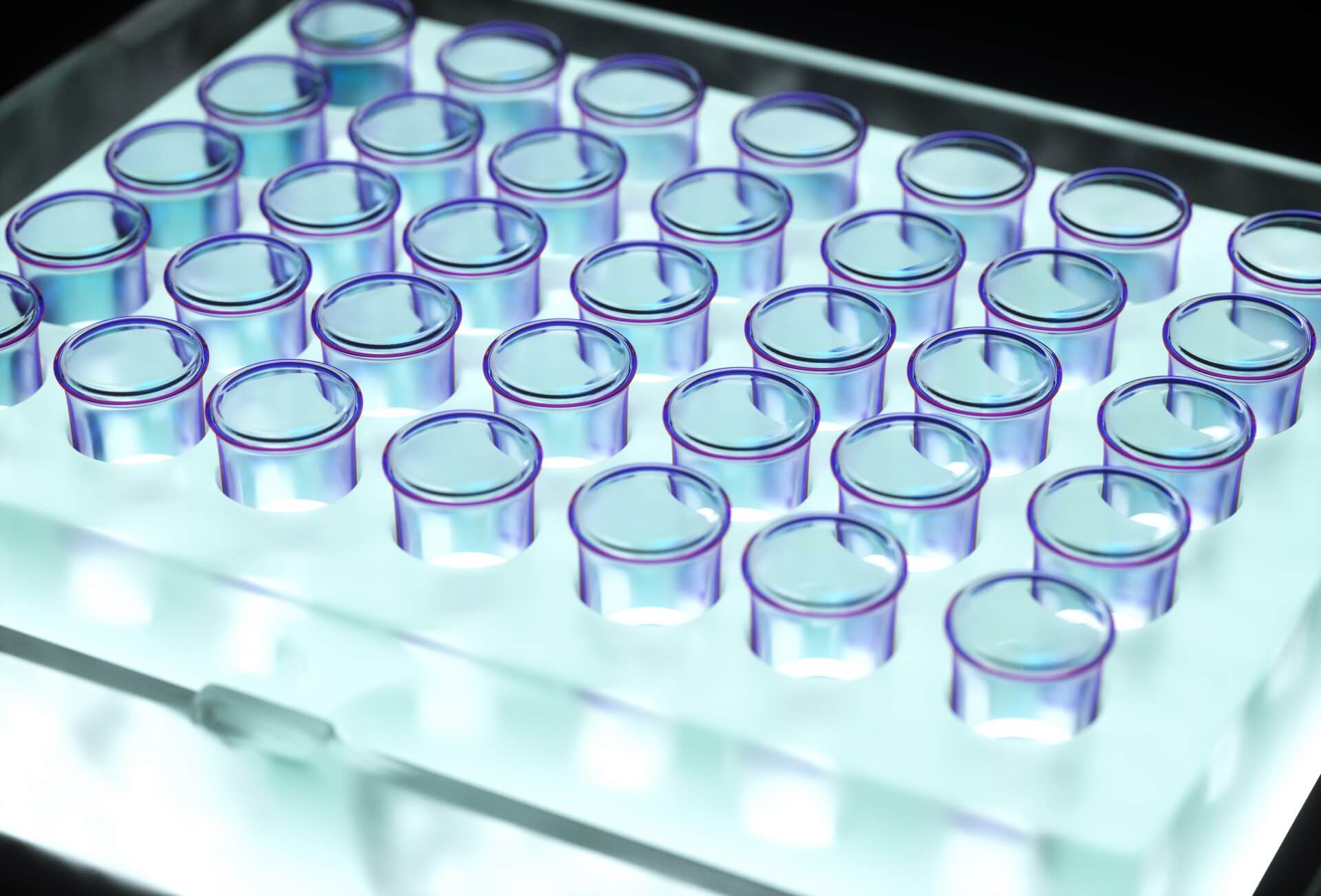 Image Job Office Lady